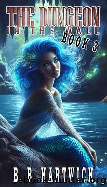 The Dungeon in the wall: Book 3 by B. B. Hartwich