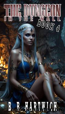 The Dungeon in the wall: Book 4 by B. B. Hartwich