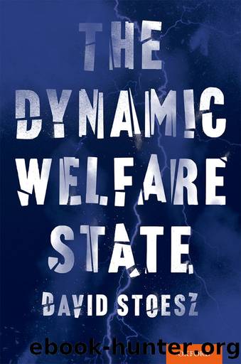 The Dynamic Welfare State by Stoesz David;