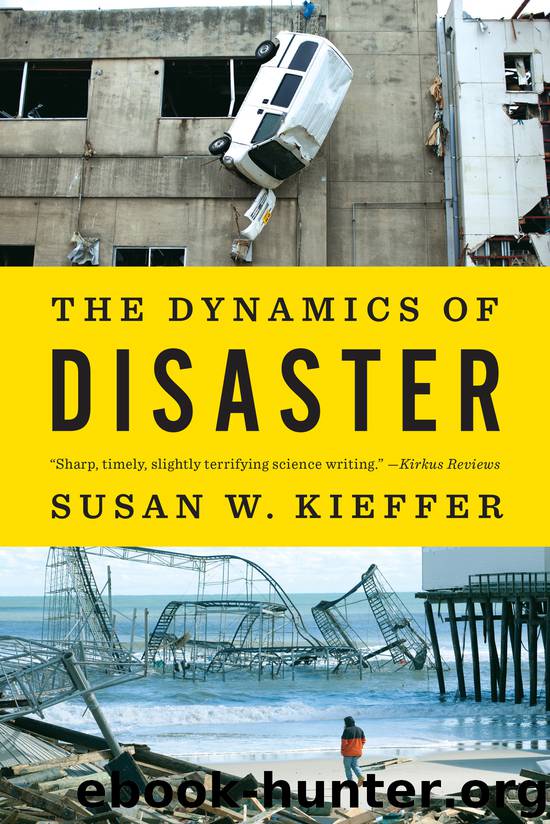 The Dynamics of Disaster by Susan W. Kieffer