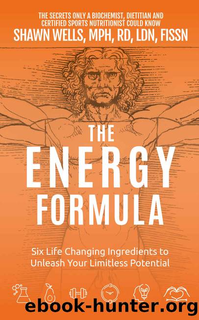 The ENERGY Formula: Six Life Changing Ingredients to Unleash Your Limitless Potential by Shawn Wells