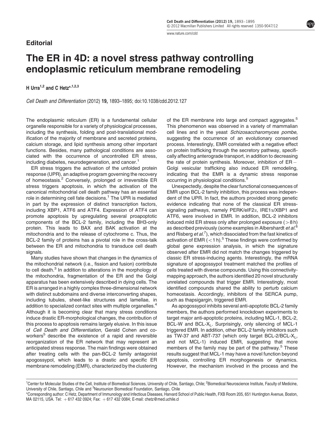 The ER in 4D: a novel stress pathway controlling endoplasmic reticulum membrane remodeling by H Urra & C Hetz &