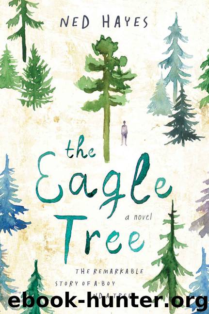 The Eagle Tree by Ned Hayes