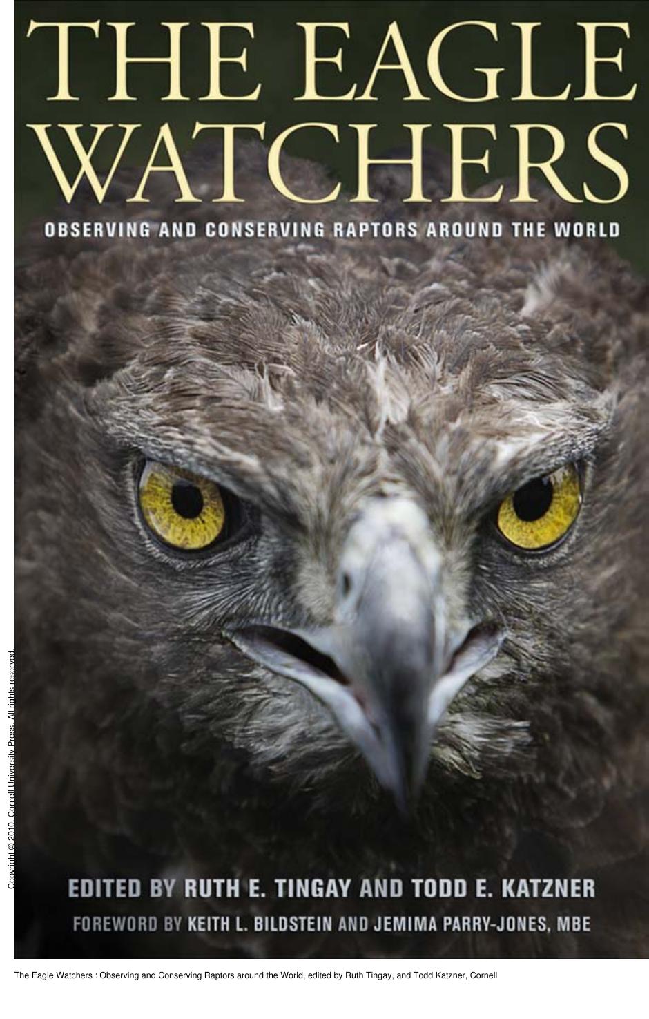 The Eagle Watchers : Observing and Conserving Raptors around the World by Ruth Tingay; Todd Katzner; Keith L. Bildstein; Jemima Parry-Jones