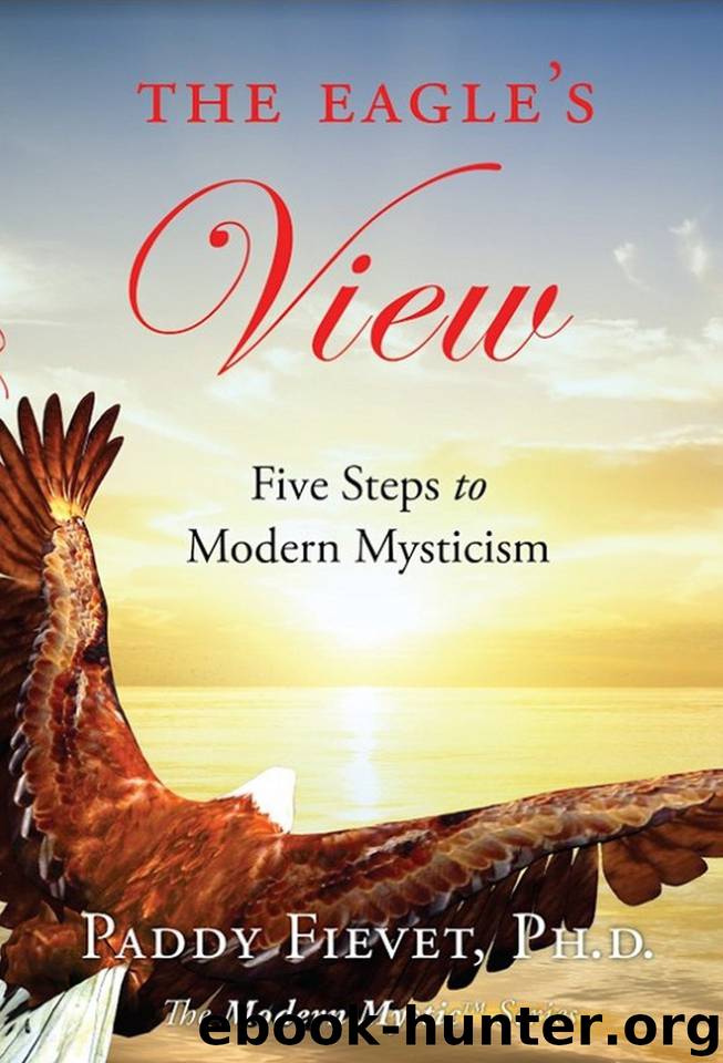 The Eagle's View: Five Steps to Modern Mysticism (The Modern Mystic Series ) by Fievet Paddy
