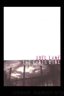 The Earth wire by Joel Lane