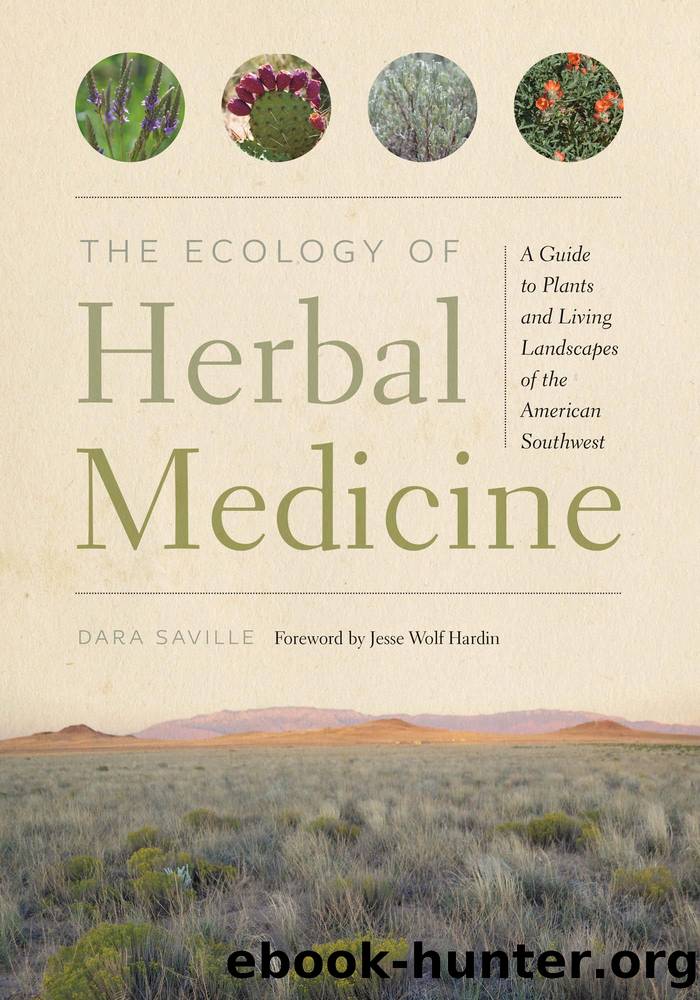 The Ecology of Herbal Medicine: A Guide to Plants and Living Landscapes of the American Southwest by Dara Saville