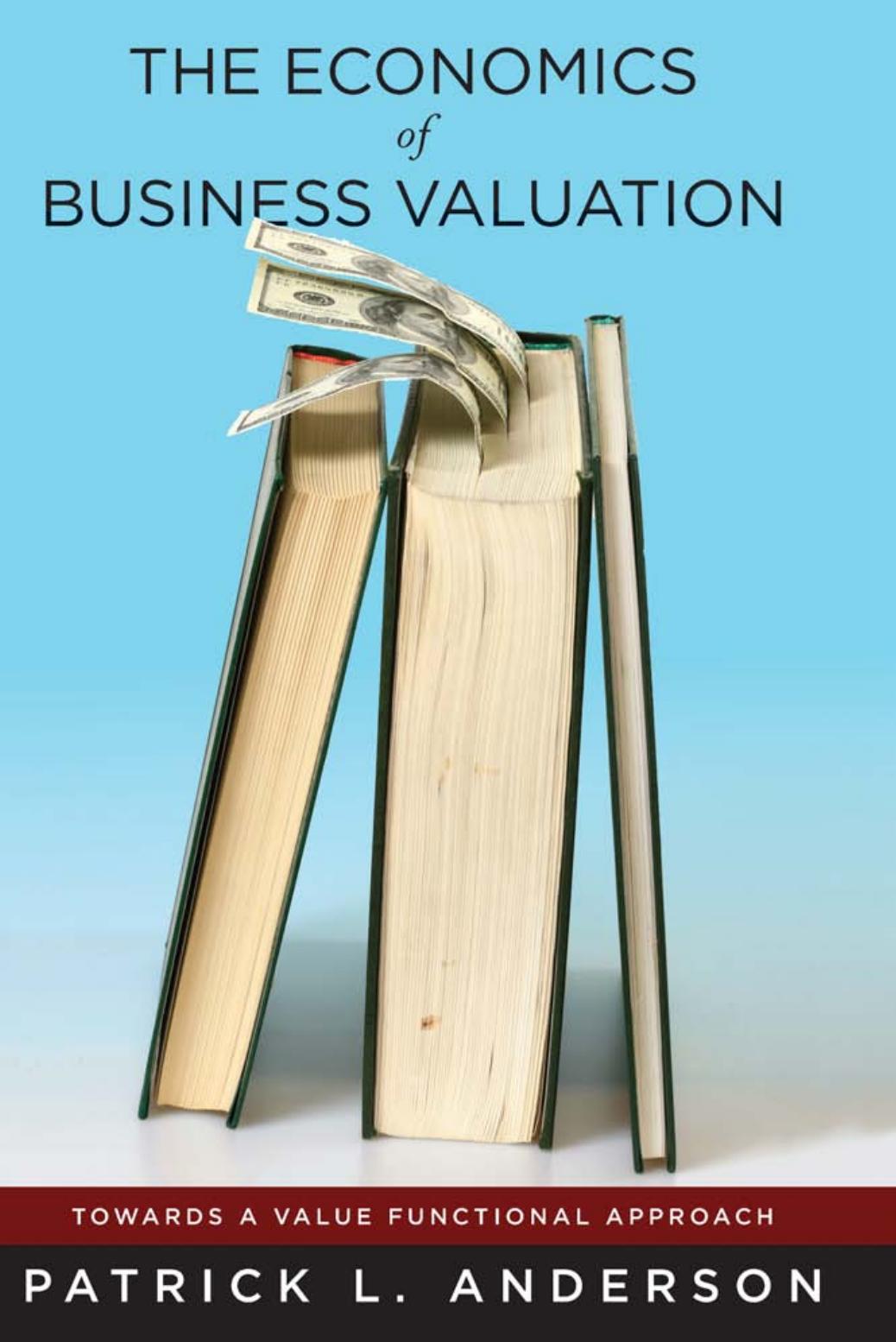 The Economics of Business Valuation: Towards a Value Functional Approach by Patrick Anderson