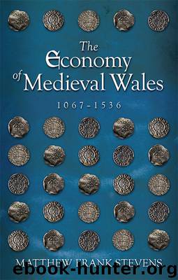 The Economy of Medieval Wales by Matthew Frank Stevens