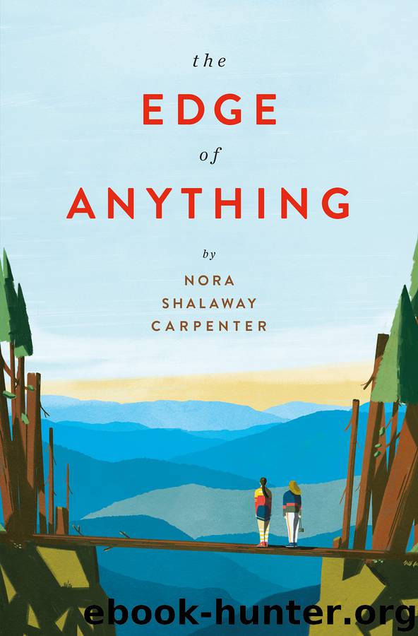 The Edge of Anything by Nora Shalaway Carpenter