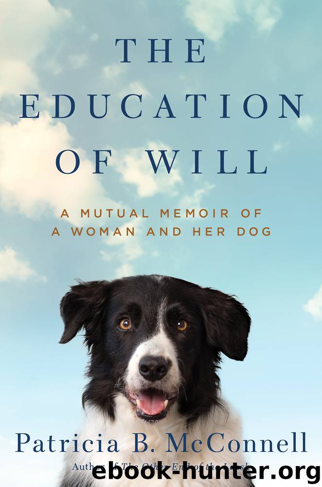 The Education of Will by Patricia B. McConnell