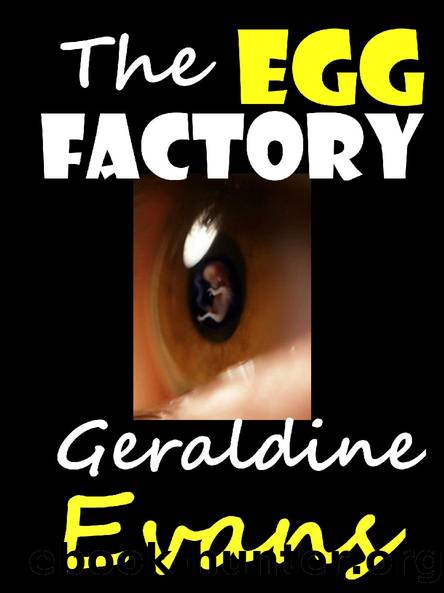 The Egg Factory by Geraldine Evans