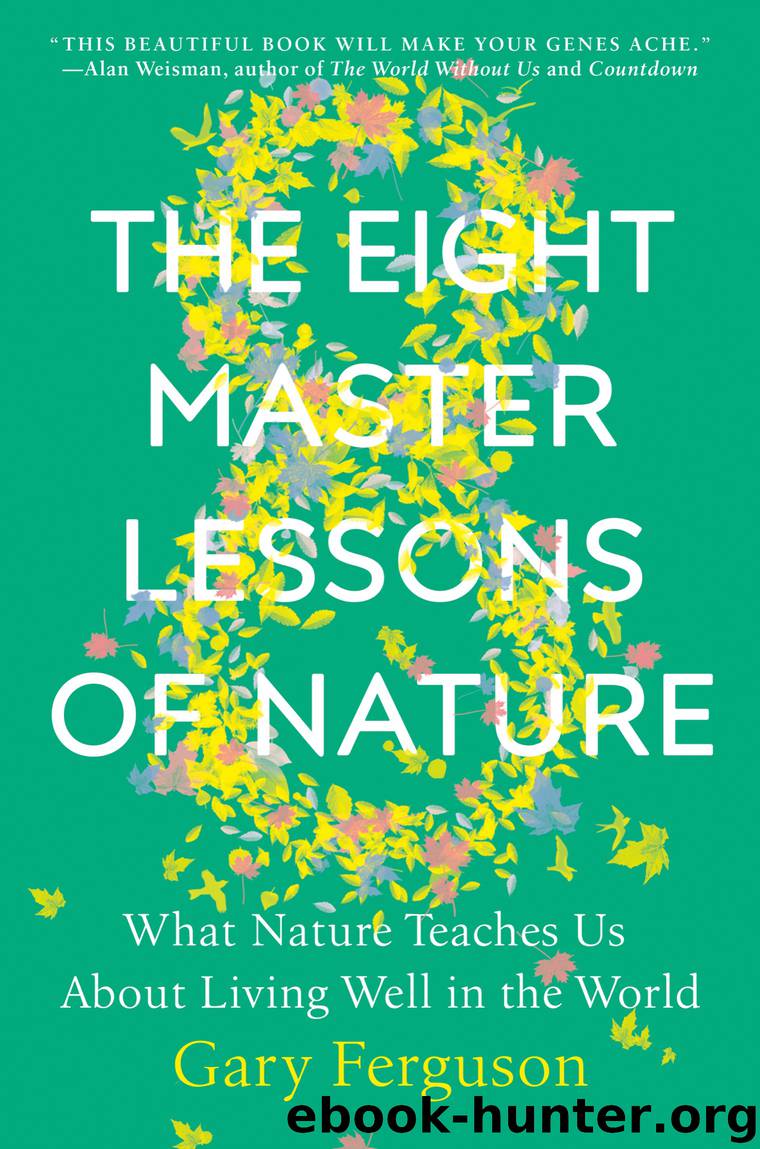 The Eight Master Lessons of Nature by Gary Ferguson