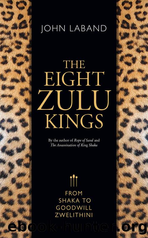 The Eight Zulu Kings â From Shaka to Goodwill Zwelithini by John Laband