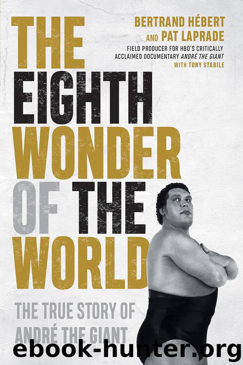The Eighth Wonder of the World by Bertrand Hébert