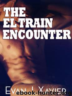 The El Train Encounter (Gay Erotica) by Evan J. Xavier