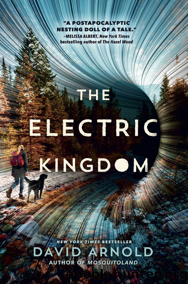 The Electric Kingdom by David Arnold