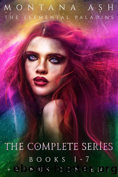 The Elemental Paladins by Montana Ash
