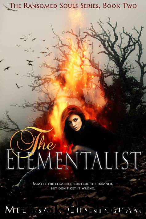 The Elementalist by Melissa J. Cunningham