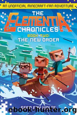 The Elementia Chronicles #2: The New Order by Sean Fay Wolfe