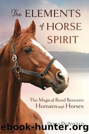 The Elements of Horse Spirit by Debra DeAngelo