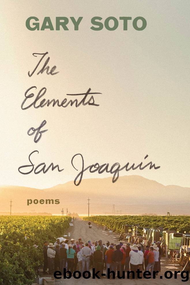The Elements of San Joaquin by Gary Soto