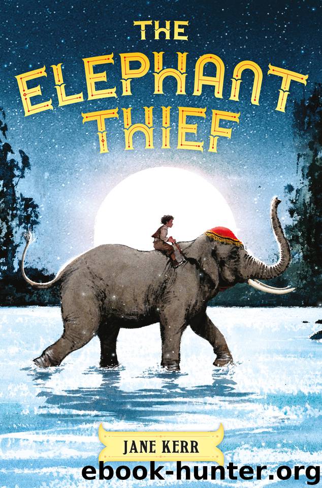 The Elephant Thief by Jane Kerr