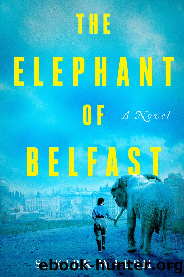 The Elephant of Belfast by S. Kirk Walsh