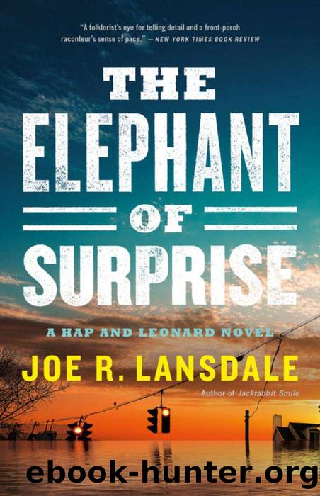 The Elephant of Surprise (Hap and Leonard) by Joe R. Lansdale