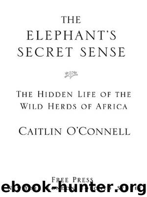 The Elephant's Secret Sense by Caitlin O'Connell