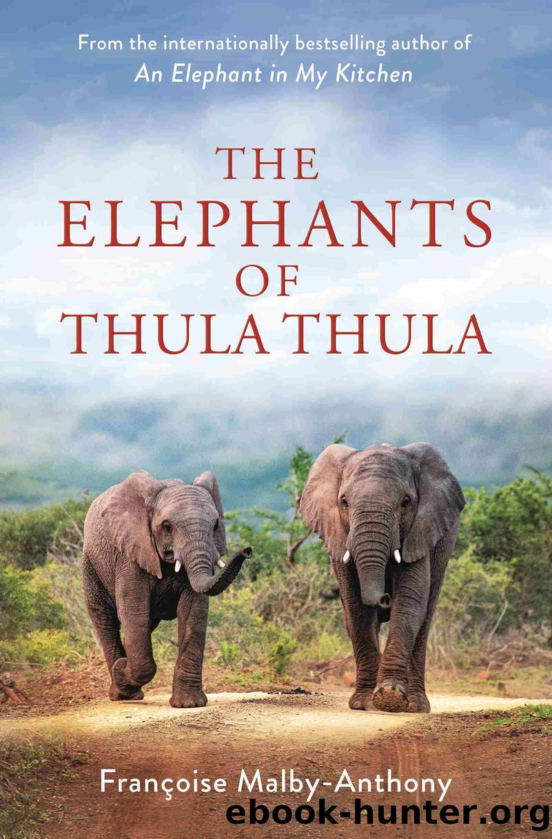 The Elephants of Thula Thula by Françoise Malby-Anthony