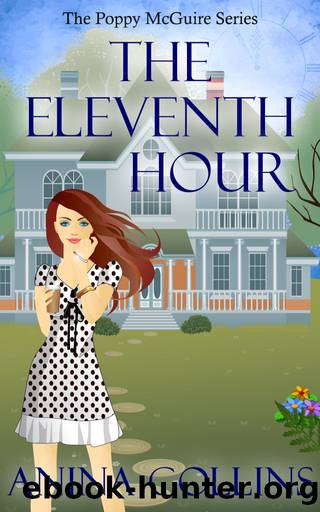 The Eleventh Hour by Anina Collins
