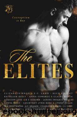 The Elites by unknow