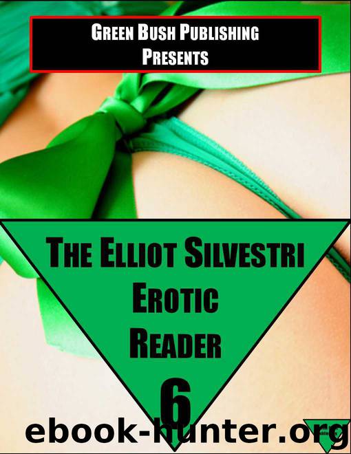 The Elliot Silvestri Erotic Reader Volume 6 by Silvestri Elliot