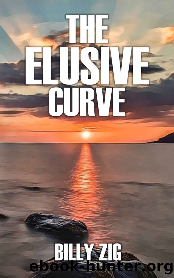The Elusive Curve: A Modern Day Quest to Discover Another World by Billy Zig