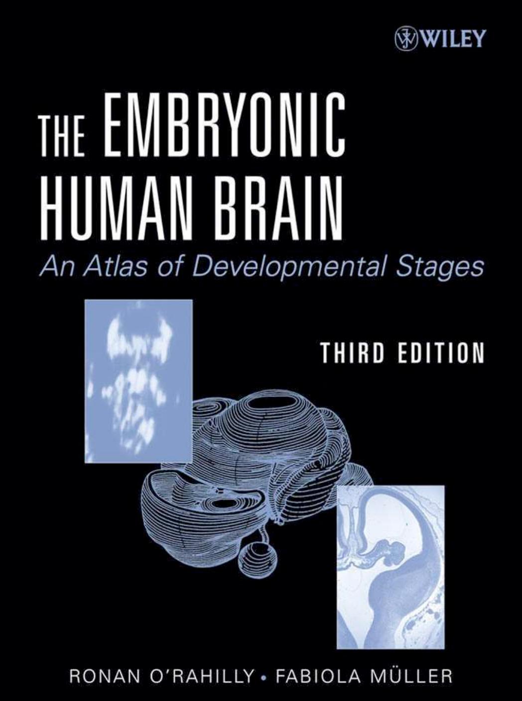 The Embryonic Human Brain An Atlas Of Developmental Stages by C. Michael Stein Guy Taylor