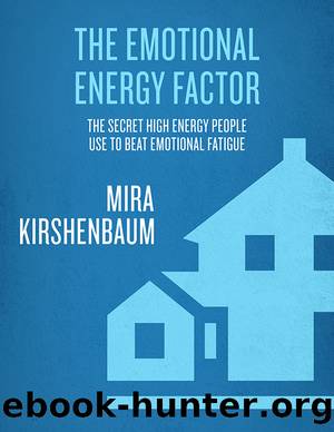 The Emotional Energy Factor by Mira Kirshenbaum