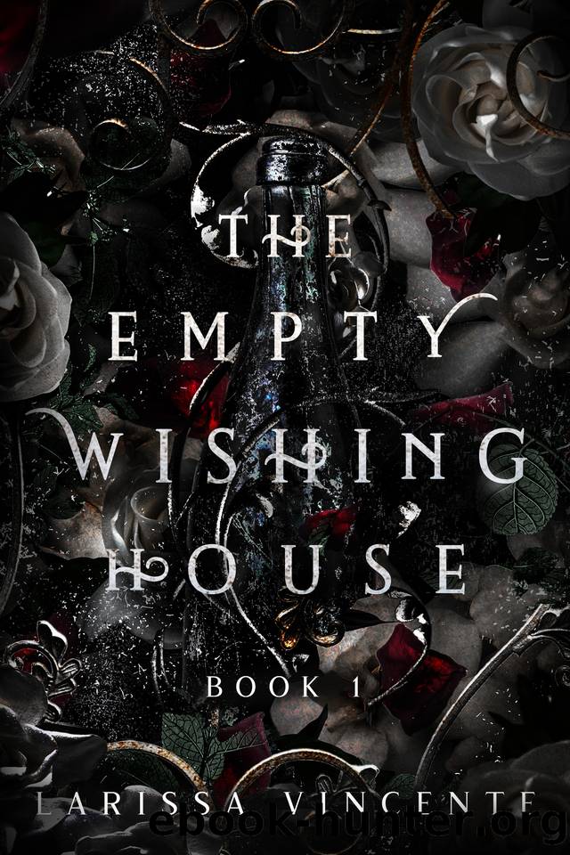 The Empty Wishing House: Book 1 by Larissa Vincente