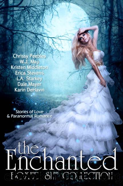 The Enchanted Box Set Collection by unknow