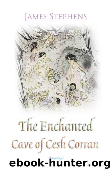 The Enchanted Cave of Cesh Corran (Irish Fairy Tales) by James Stephens