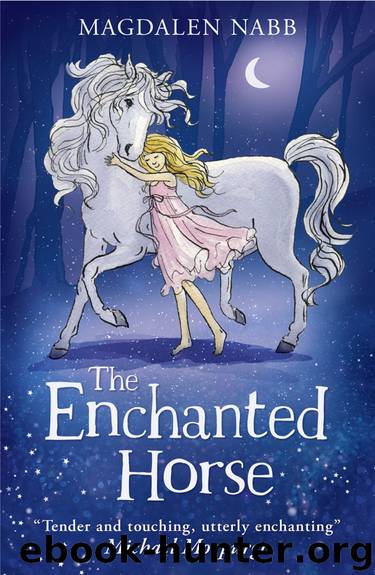 The Enchanted Horse by Magdalen Nabb