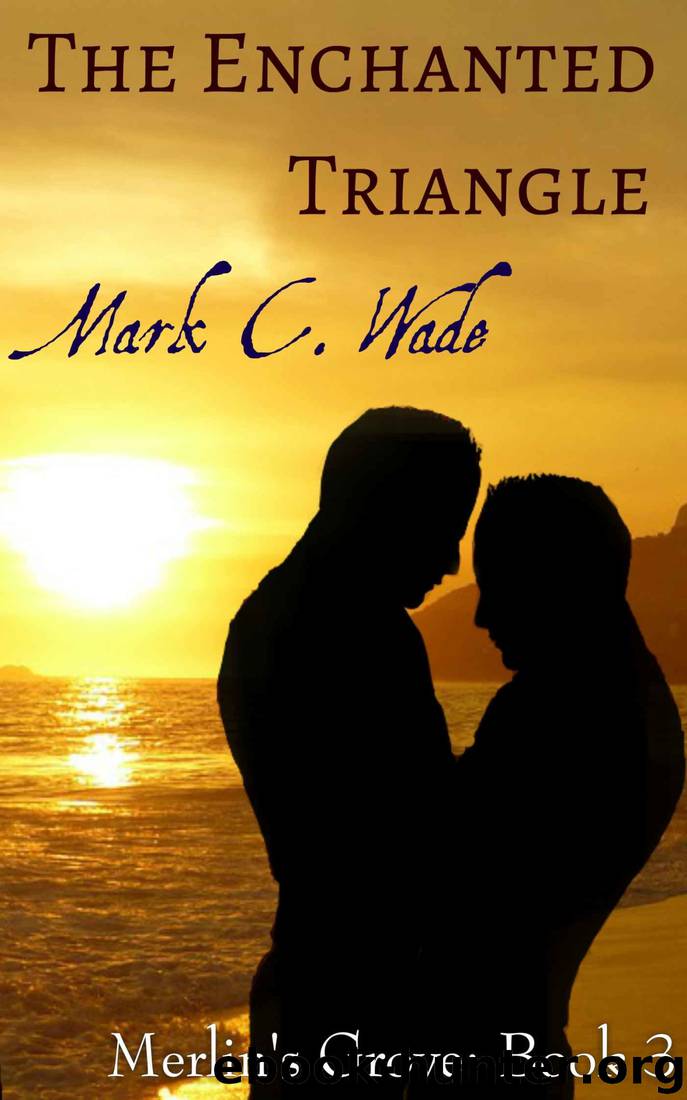 The Enchanted Triangle (Merlin's Grove Book 3) by Mark C. Wade