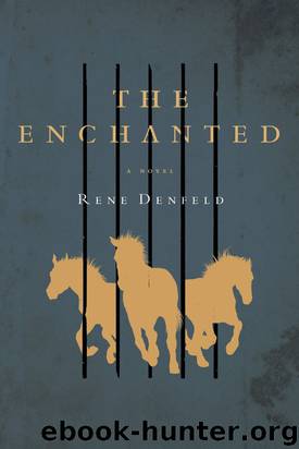 The Enchanted: A Novel by Denfeld Rene