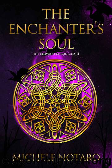 The Enchanter's Soul by Michele Notaro
