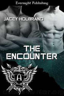The Encounter by Jacey Holbrand