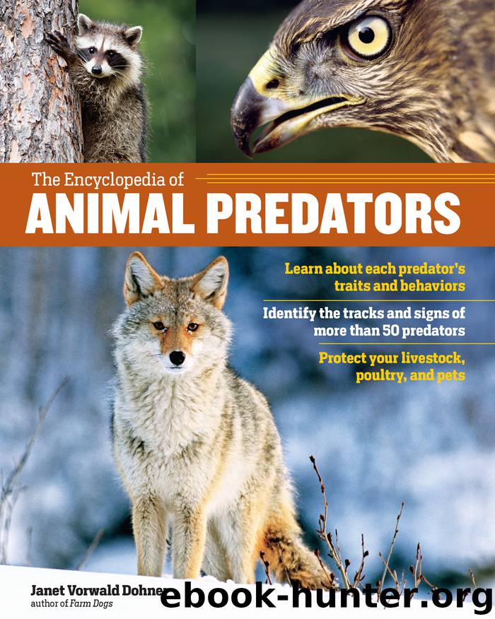 The Encyclopedia of Animal Predators by Janet Vorwald Dohner
