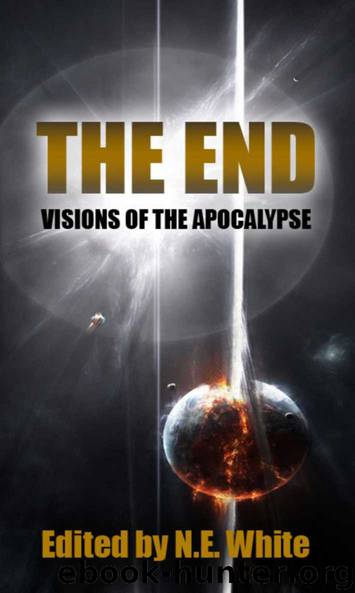 The End - Visions of Apocalypse by The End- Visions of Apocalypse (epub)
