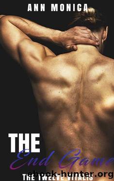 The End Game by Ann Monica