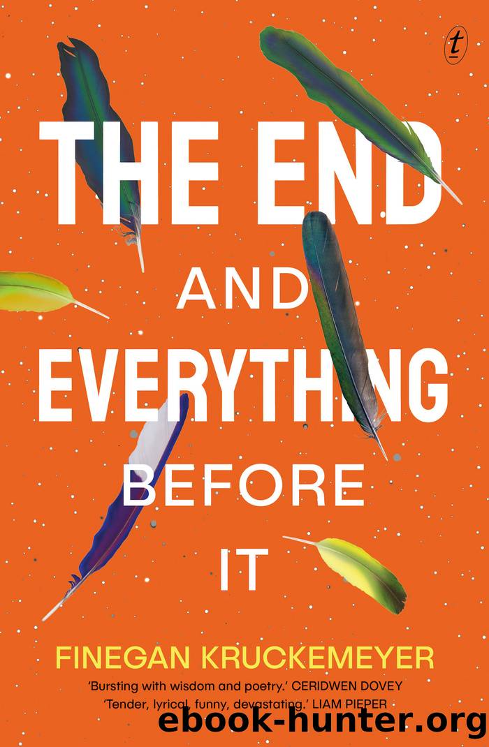 The End and Everything Before It by Finegan Kruckemeyer