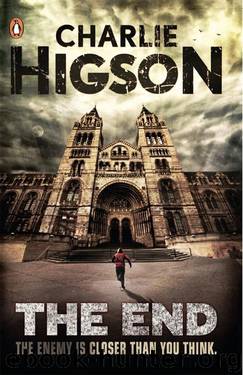 The End by Higson Charlie